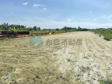 強銷近安南中信管理學院5.46分高CP值都內農地｜台南市安南區學中段
