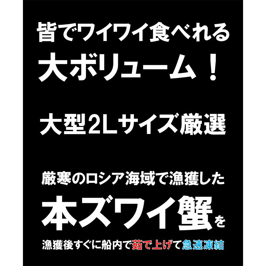 メガ盛り3kg！大型Ｌ・2Lサイズのボイル本ズワイ蟹脚 10肩前後   折れ蟹 船上凍結ワンフローズン ずわいがに ズワイガニ お歳暮 お祝い