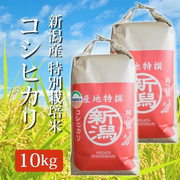 米 令和4年産 2022年度産 玄米 特別栽培米 新潟県産コシヒカリ こしひかり 10Kg (10キロ)  5kg×2袋 新潟産 コシヒカリ 代引不可 同梱不可