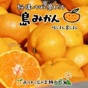 希望の島 甘小粒 5kg 家庭用 小玉 愛媛 中島産 みかん ミカン 温州みかん 愛媛みかん 島みかん お歳暮 ギフト 送料無料