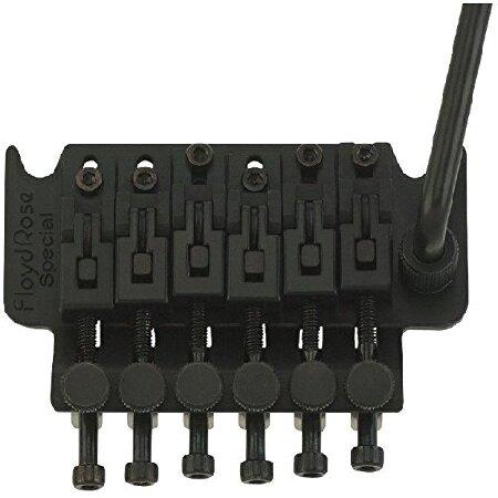 Floyd Rose Special Series Tremolo Bridge with R3 Nut- Satin Black 並行輸入品