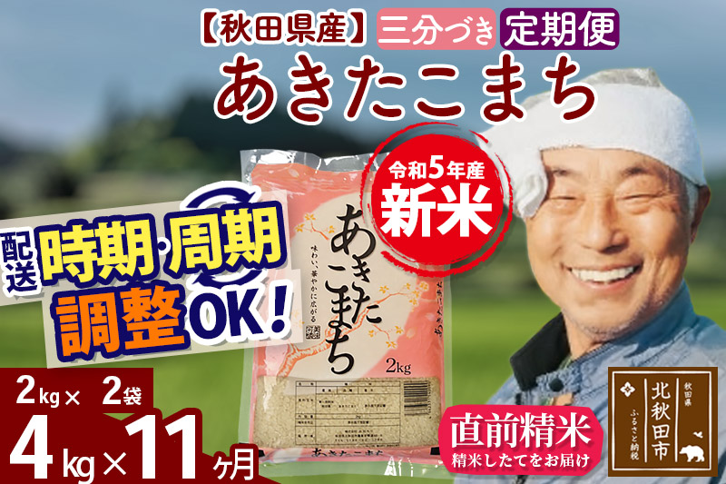 《定期便11ヶ月》＜新米＞秋田県産 あきたこまち 4kg(2kg小分け袋) 令和5年産 配送時期選べる 隔月お届けOK お米 おおもり|oomr-50211