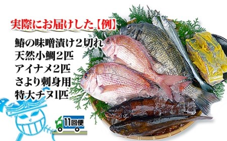 創業100年の魚屋さんが選び抜いた旨い鮮魚直送便～