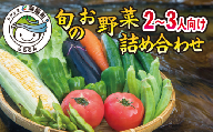 阿波の国海陽町 旬のお野菜詰め合わせセット６‐９品 野菜 徳島県 海陽町産 野菜セット 詰め合わせ 2-3名様以上 向け 季節の野菜 やさい 産地直送 新鮮 採れたて お試し 単品