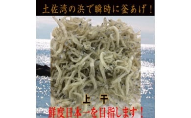 ちりめんじゃこ(上干) 約300ｇ鮮度日本一を目指します！浜で瞬時に釜揚げ