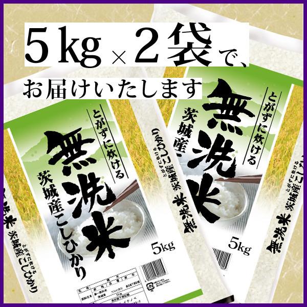 新米 令和５年産 お米 10kg 送料無料 コシヒカリ 無洗米 便利 白米 5kg×2袋 茨城県 産直 五ツ星お米マイスター厳選米