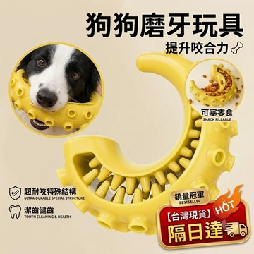 【台灣現貨👍】狗狗TPR潔牙骨 漏食玩具 藏食玩具 狗狗玩具 寵物玩具 狗玩具 耐咬玩具 磨牙玩具 益智玩具 磨牙潔齒棒