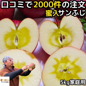 りんご 蜜入り サンふじ 5kg 11～23玉 口コミ2000件 噂の 蜜入りりんご サンフジ 長野 信州 原田農園 訳あり 家庭用 送料無料