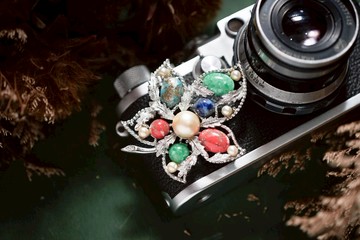 【老飾品/西洋老件】美國Sarah Coventry FANTASY樹葉老胸針