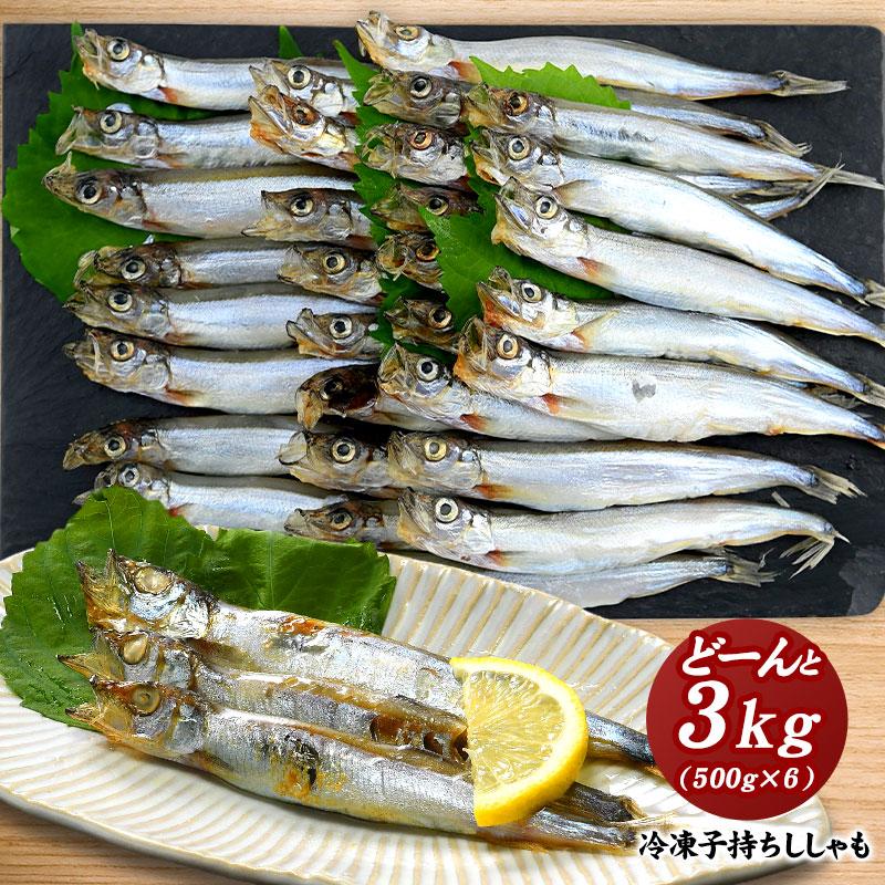 [タイムセール] 子持ちししゃも 3kg（500g×6袋）［冷凍］