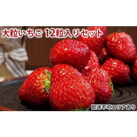 ふるさと納税 大粒いちご12粒入りセット 兵庫県小野市