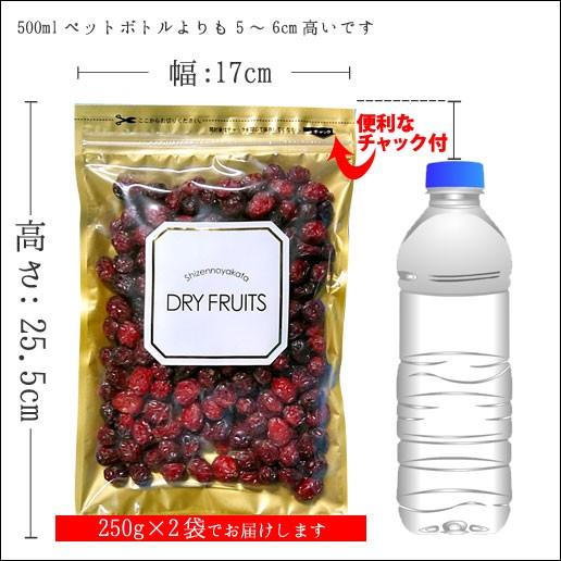 ドライクランベリー 500g(250g×2) ラトビア産 ホール 保存料不使用 送料無料 ドライフルーツ チャック付き お試し 自然の館 非常食 ゲリラ