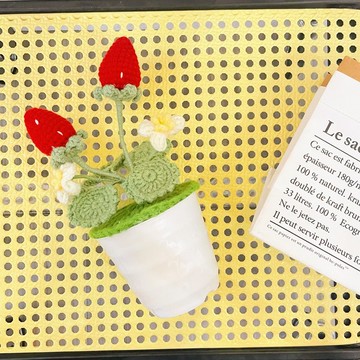 手作鉤織草莓盆栽