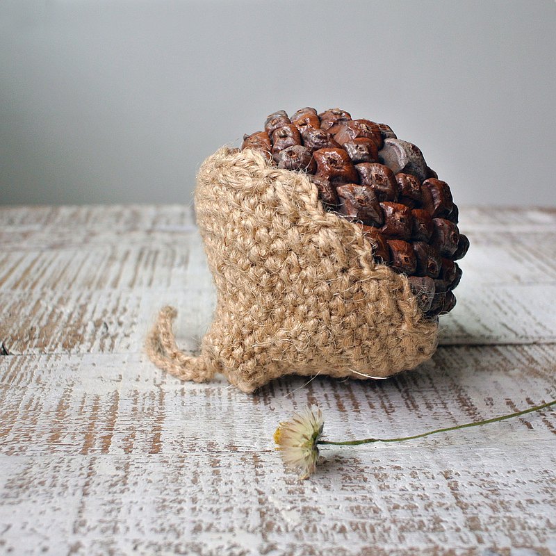 21 乾燥花素材推薦 十一月優惠比價 Line購物