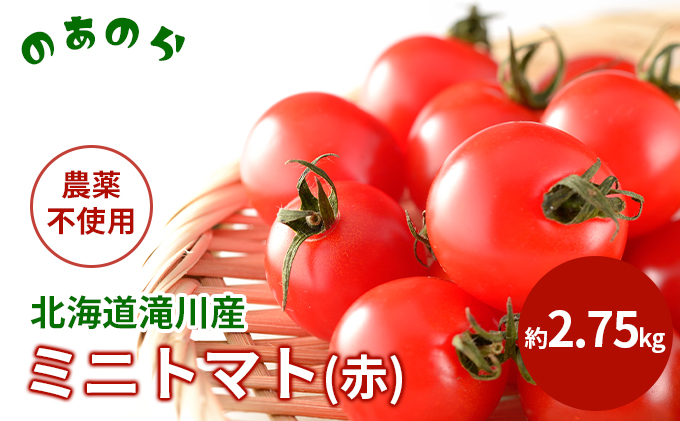  北海道 滝川市 産 ミニトマト (赤) 約2.75kg トマト 野菜 やさい みにとまと