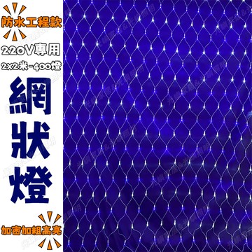 【工程款】led網狀燈 2x2米 灌膠燈泡 戶外專用款 漁網燈 網燈 220V可串接 聖誕燈串 led聖誕燈 聖誕裝飾燈