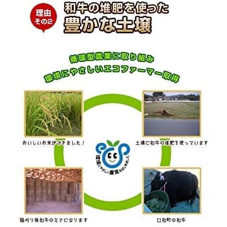 米穀店食の健康社 玄米 10kg (5kg×2) 広島県産 国産 ミルキークイーン ファーム永田