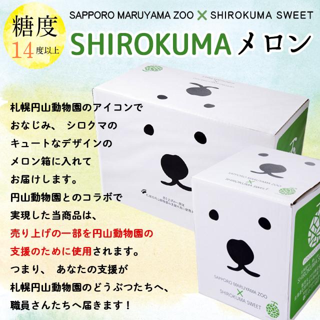 2024年 予約 メロン お中元 ギフト 送料無料 SHIROKUMA SWEET 北海道産 赤肉メロン 1玉入(約1.6kg 大玉 Lサイズ)   フルーツ