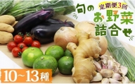 定期便3回コース 高知県香南市産 旬のお野菜詰合せ(10～13品目)  やさい おまかせ セット 土佐野菜 新鮮 高知県 香南市 Wpr-0008