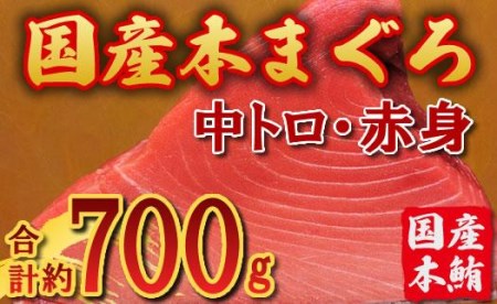 国産 本マグロ ブロック(中トロ・赤身) 約700g