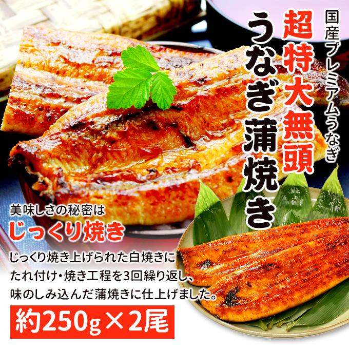 鹿児島産 新 超特大 国産 うなぎ蒲焼き 約250g×2尾 送料無料 ギフトボックス付 海鮮 プレゼント グルメ ギフト