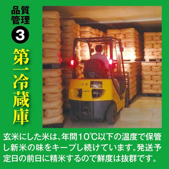 農家のお米直送 令和5年産 はえぬき（精米） ５kg