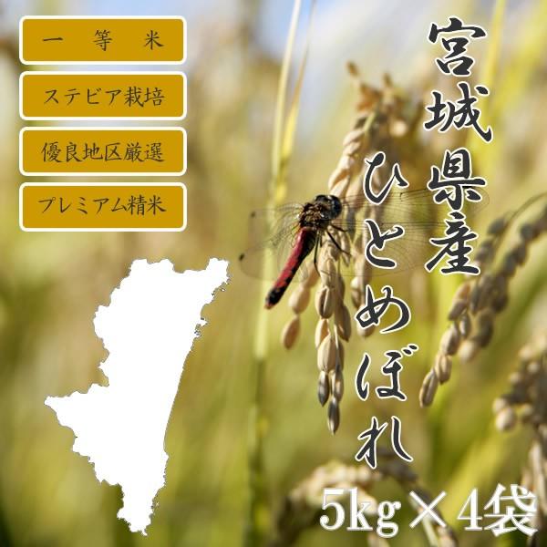 新米 令和5年産 宮城県産 ひとめぼれ 20kg (5kg×4袋) ステビア栽培 一等米 100%