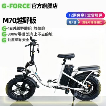 【台灣出貨】G-Force 越野胖胎 800W電機【全省保固免掛牌】電動腳踏車 電動自行車 折疊腳踏車 電輔車 電動車