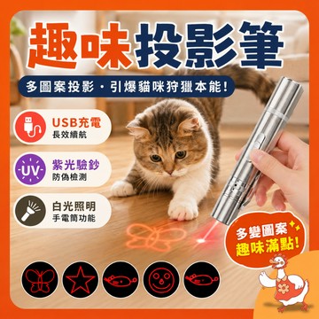 🔥台灣現貨隔日配🔥貓咪逗貓投影筆 USB充電投影筆 多圖案投影筆 貓咪互動玩具 貓咪放電神器 紫光驗鈔 白光照明 寵物用