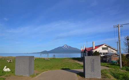 北海道 礼文島産 無添加 キタムラサキウニ 折詰200g×2 ウニ