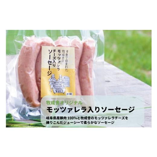 ふるさと納税 岐阜県 高山市 ＜牧成舎＞飛騨の牛乳屋、こだわり3種のチーズ＆モッツァレラ入りソーセージ b608