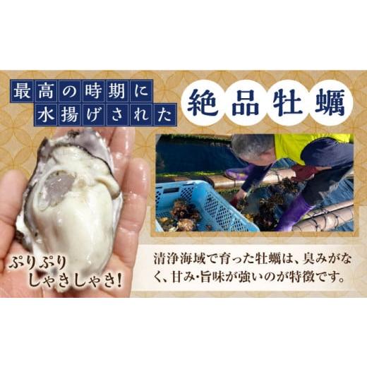 ふるさと納税 広島県 江田島市 大粒でぷりっぷり！かきうちの 牡蠣 むき身 500g＆殻付き 10個 牡蠣 かき カキ むき身 生牡蠣 広島 …