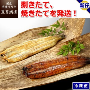 うなぎ 国産 [新仔] 蒲焼き（白焼きも可能）135-160g(肝焼き付)×2尾 （冷蔵） ウナギ 鰻