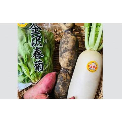 ふるさと納税 石川県 人気の加賀野菜　贅沢詰め合わせ（秋冬）