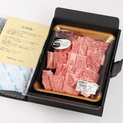 ふるさと納税 下呂市 飛騨牛リブロース　500g(焼肉用)】