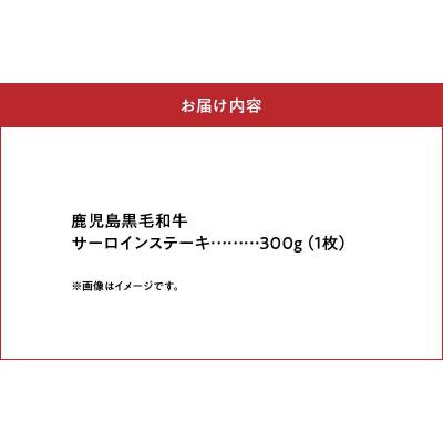 ふるさと納税 南九州市 期間限定!鹿児島黒毛和牛サーロインステーキ300g