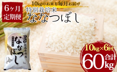 特別栽培米ななつぼし10kg×6ヶ月連続お届け