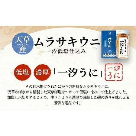 ふるさと納税 天草産ムラサキウニだらけ　豪華3本セット　(一汐低塩仕込み 60g) 熊本県上天草市