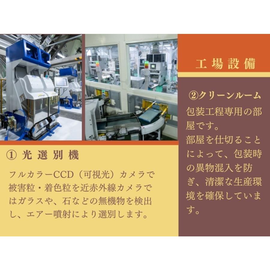 青森県産 青天の霹靂 お米 10kg (5kg×2本) お米 米 精米 白米 令和5年産