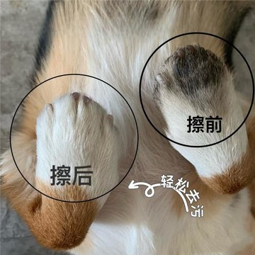 德國百潔布狗狗擦腳布易吸水清潔不掉毛去污漬寵物小狗寵物擦腳布