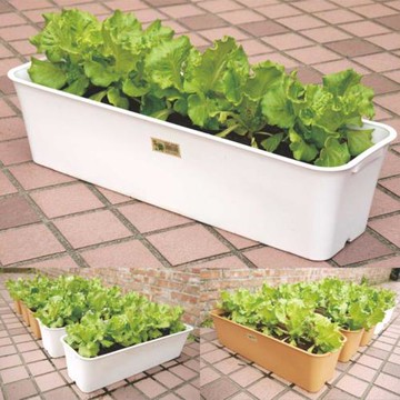 【將將好園藝】如意長型花槽(4入組)