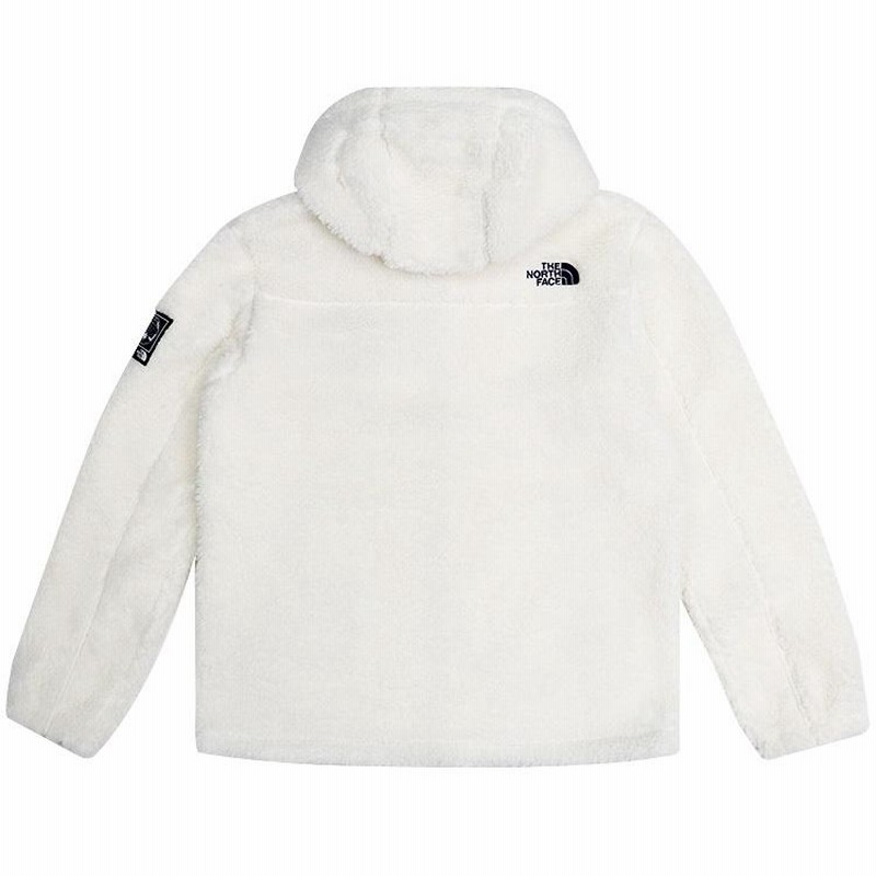 日本未入荷 ザ・ノースフェイス THE NORTH FACE フリース パーカー 