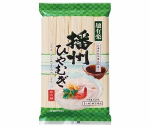 麺有楽 播州ひやむぎ 500g×20袋入×(2ケース)｜ 送料無料