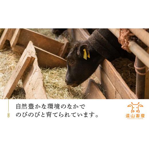 ふるさと納税 静岡県 掛川市 ５５２７　掛川牛「 和牛 」 モモ ・ サイコロ カット 500ｇ 遠山畜産