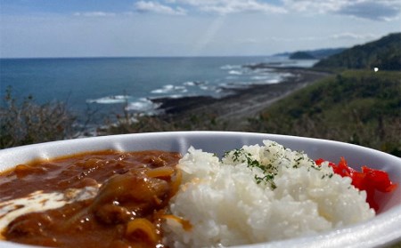 宮崎県産牛使用 復刻ハヤシセット(1箱5袋入り)