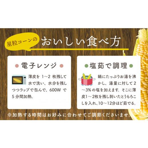 ふるさと納税 兵庫県 加西市 朝どり とうもろこし 5本（2kg前後）よしよし畑 農家直送 朝どれ 新鮮 兵庫県産 キャンプ BBQ アウトドア 小分…