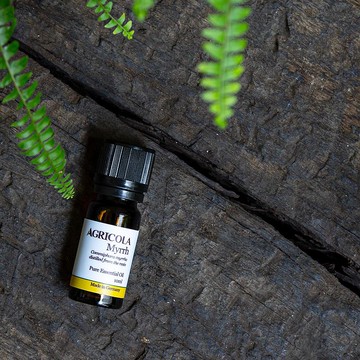 沒藥精油 -  德國原裝進口 純植物萃取 天然擴香