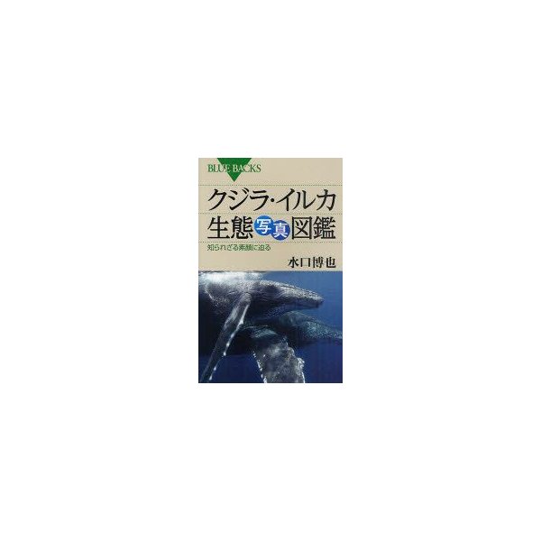 新品本 クジラ イルカ生態写真図鑑 知られざる素顔に迫る 水口博也 著 通販 Lineポイント最大0 5 Get Lineショッピング