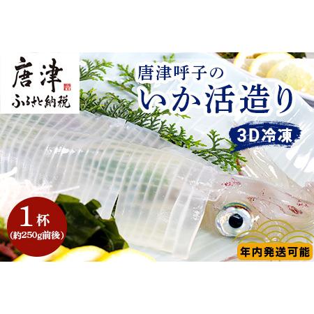 ふるさと納税 唐津呼子産いか活造り 1杯(約250g前後) 急速冷凍 新鮮そのまま食卓へ！イカ 刺身 簡単 ギフト 佐賀県唐津市