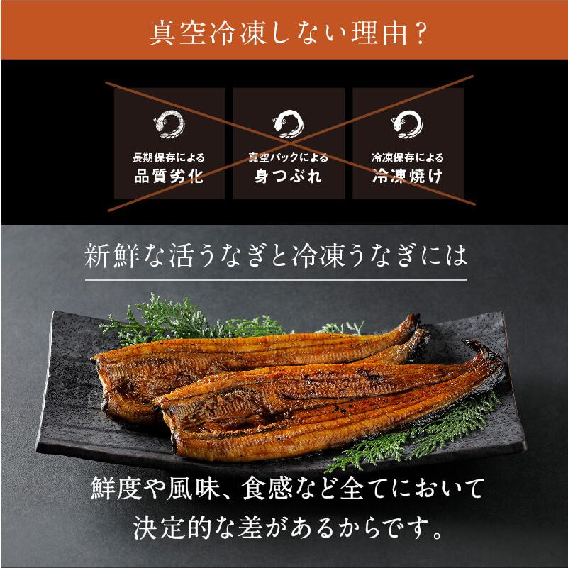 お中元 うなぎ 国産 特大 朝じめ 特選 鰻 蒲焼き1尾と白焼き1尾のコンビセット 送料無料